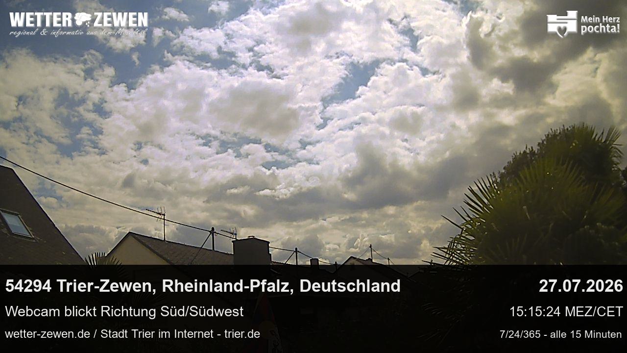 Bild