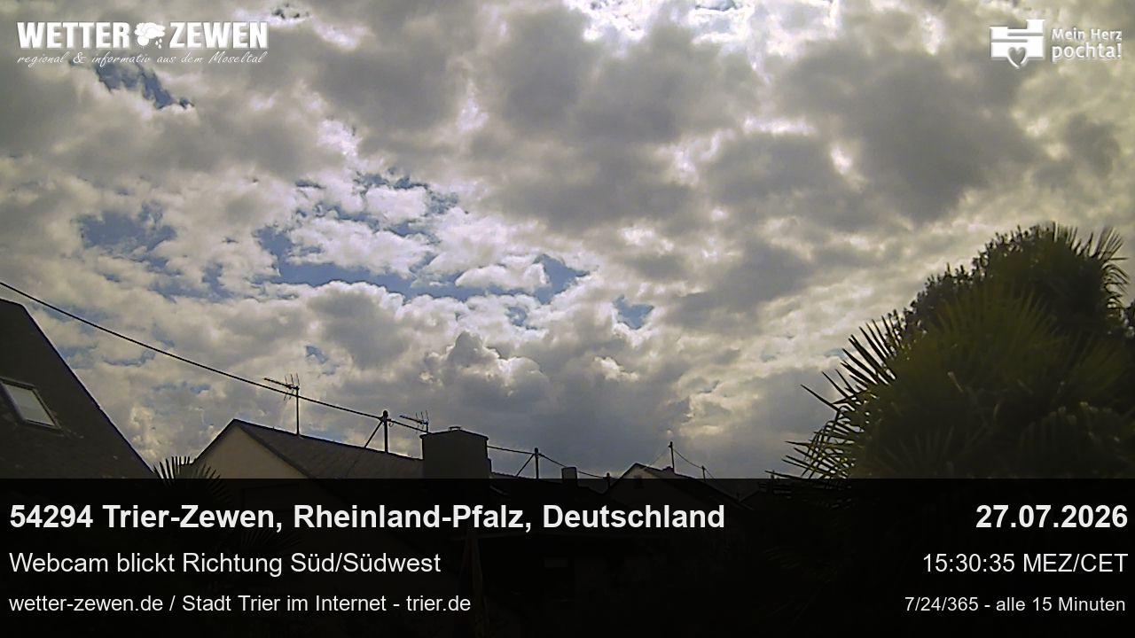 Bild