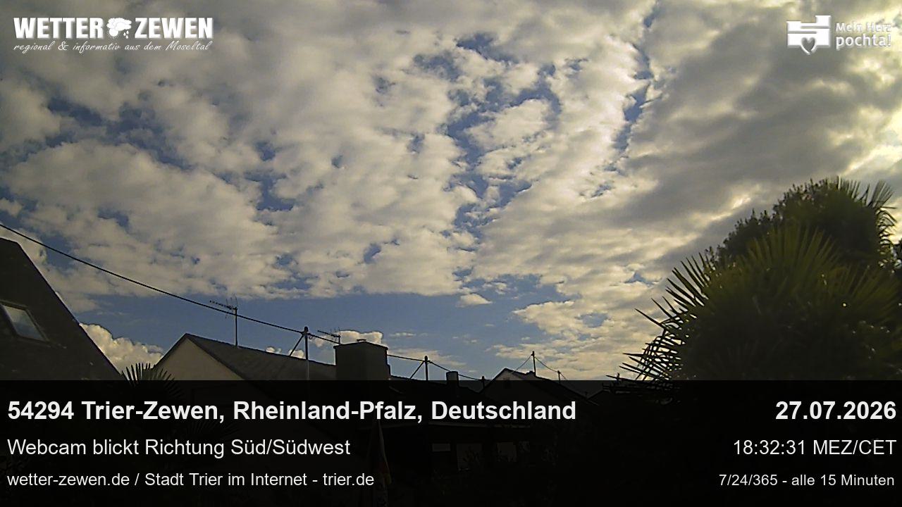 Bild