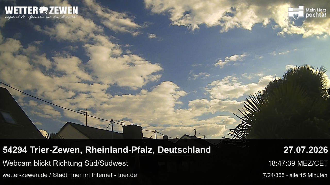 Bild