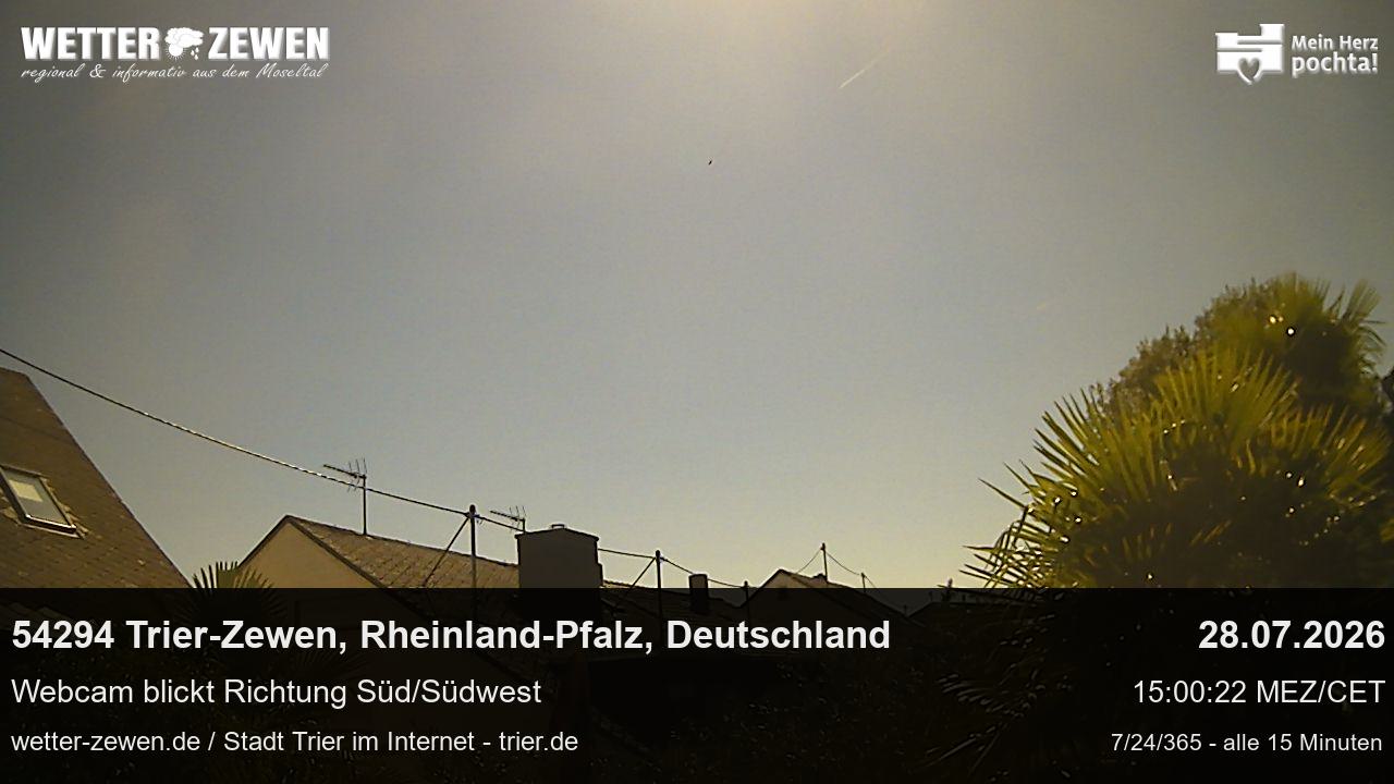 Bild