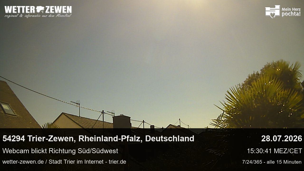 Bild