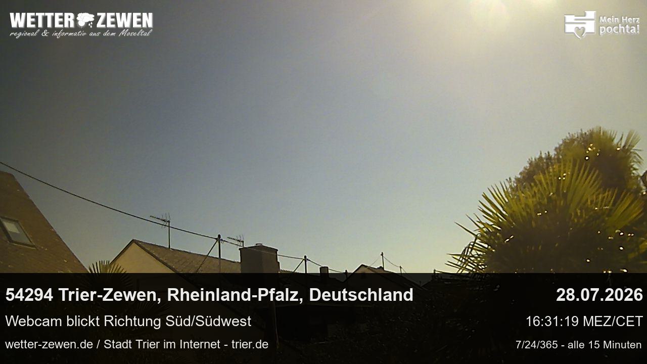 Bild