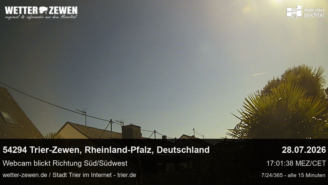 Bild