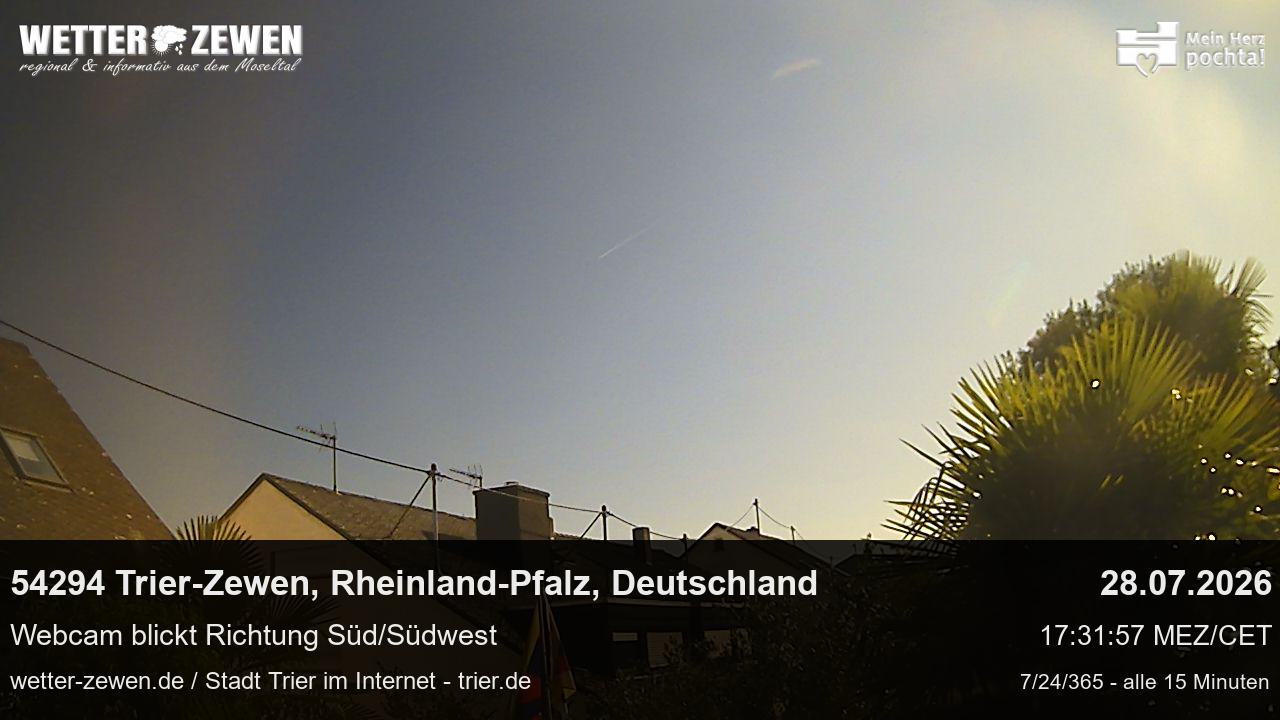 Bild