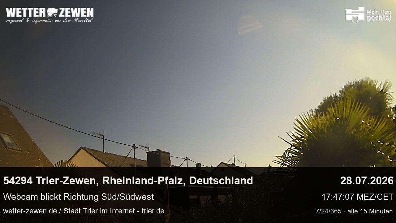 Bild