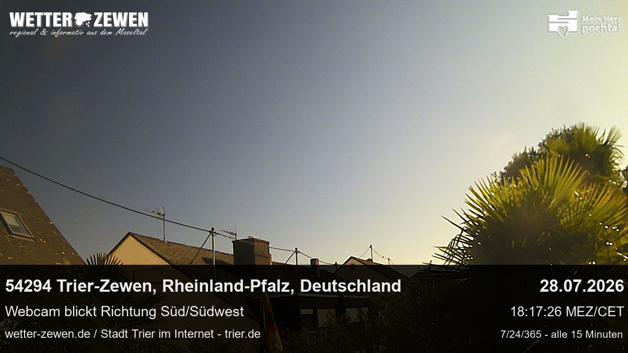 Bild
