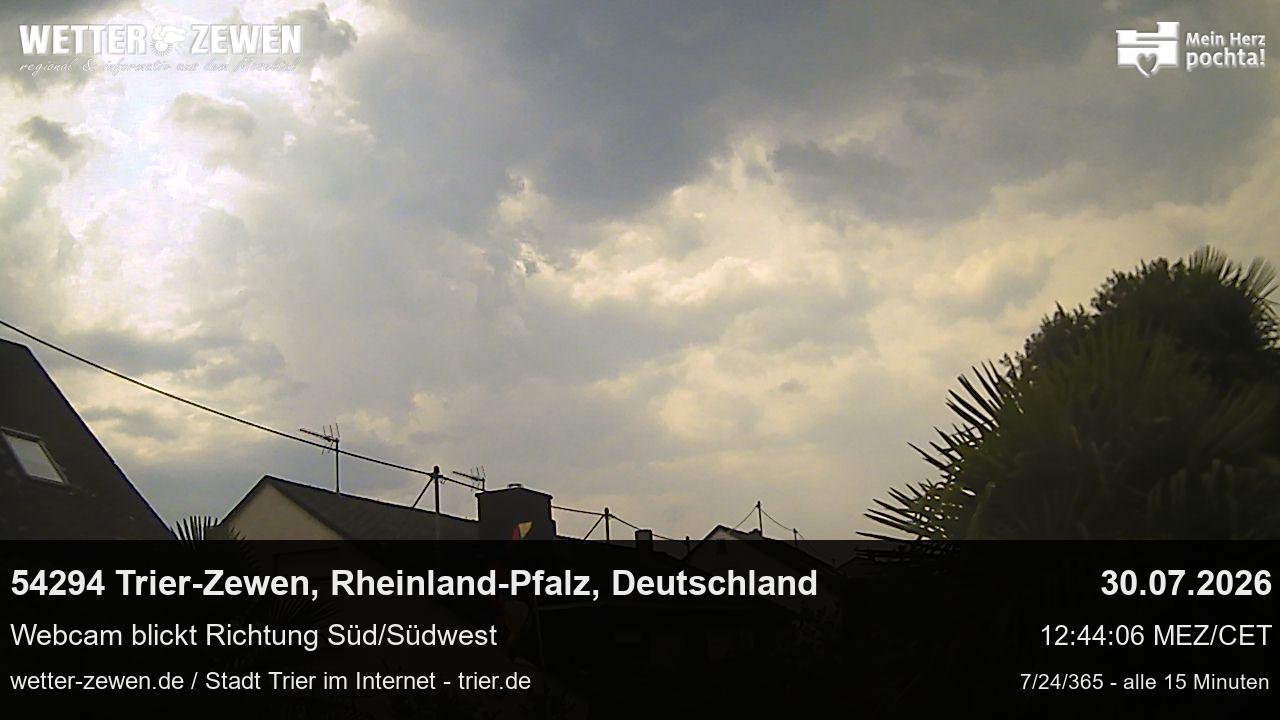 Bild