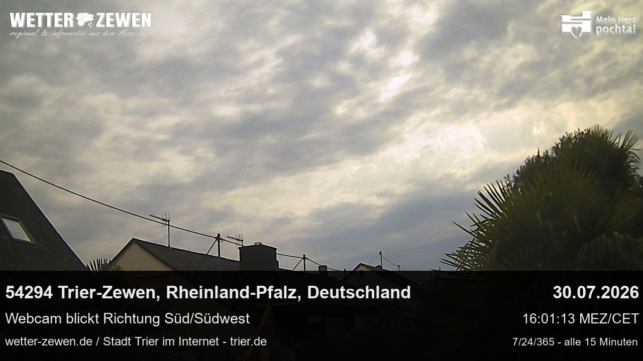 Bild