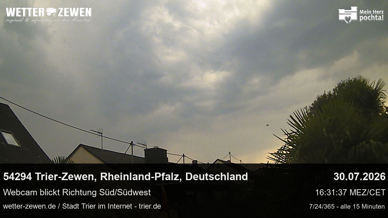 Bild