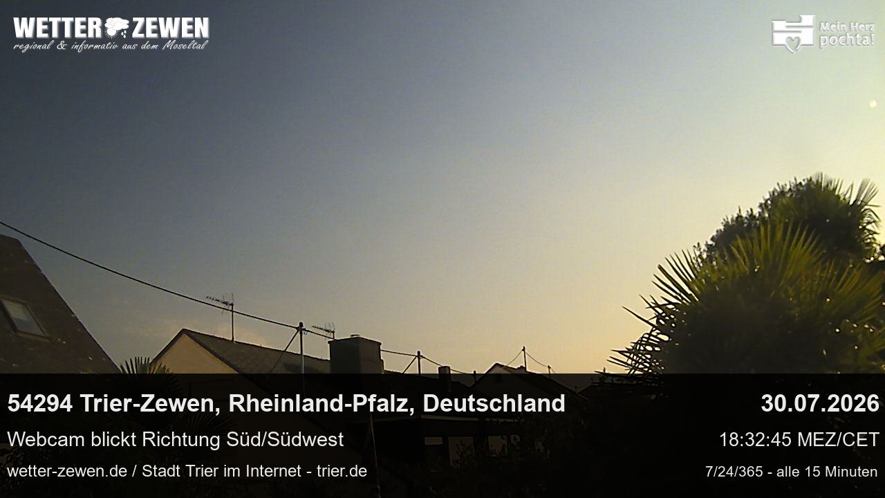 Bild