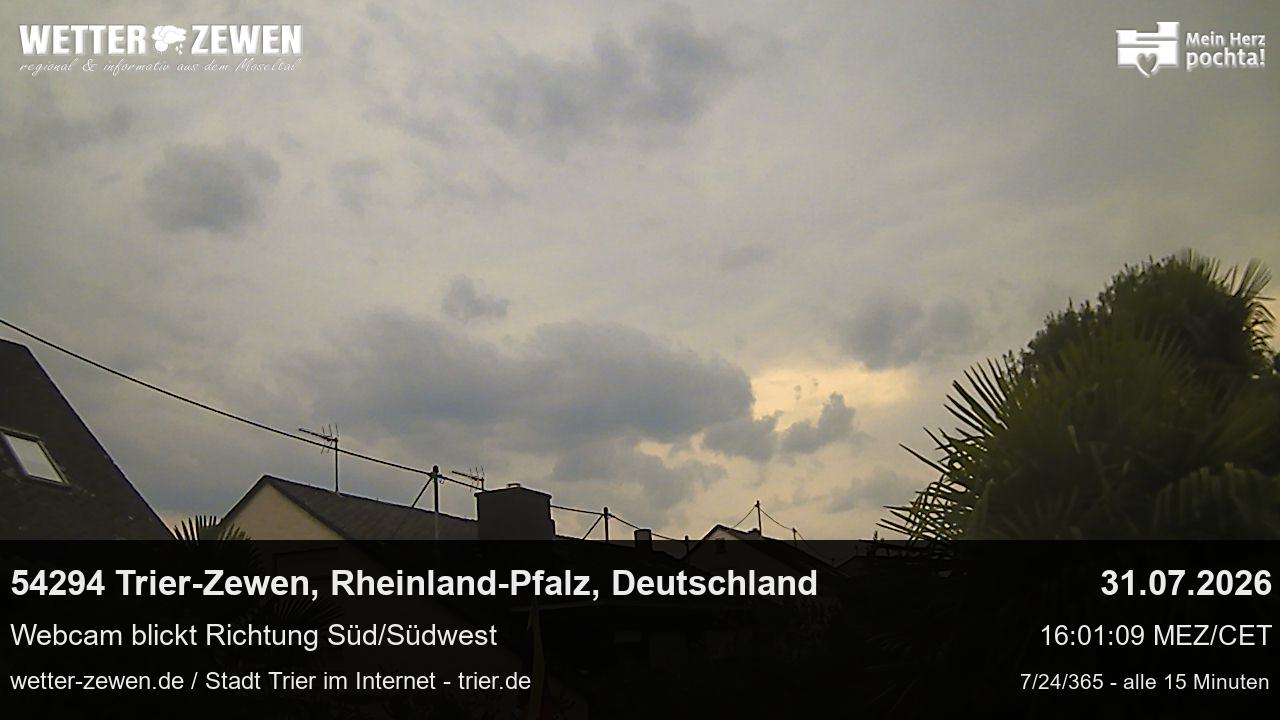 Bild