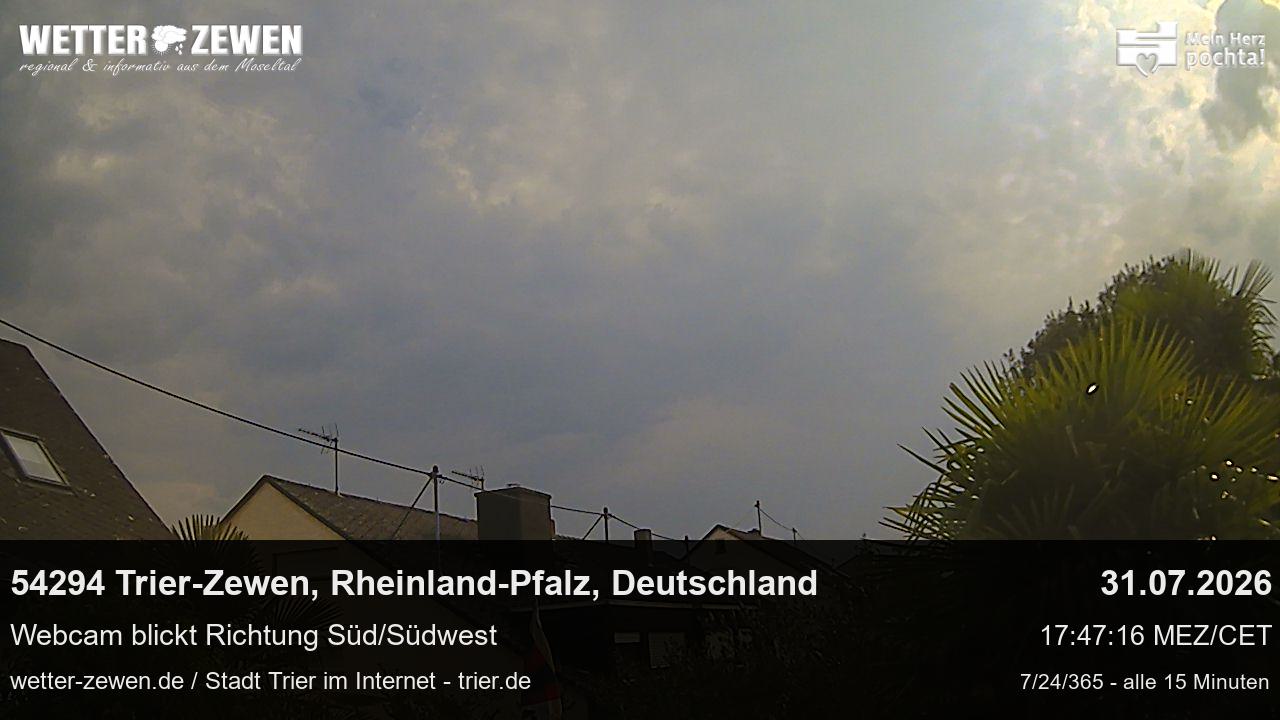 Bild