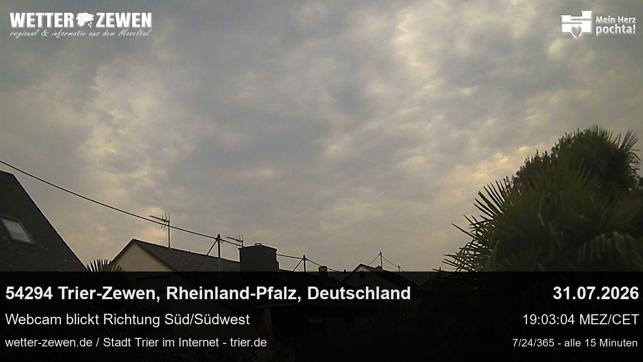 Bild