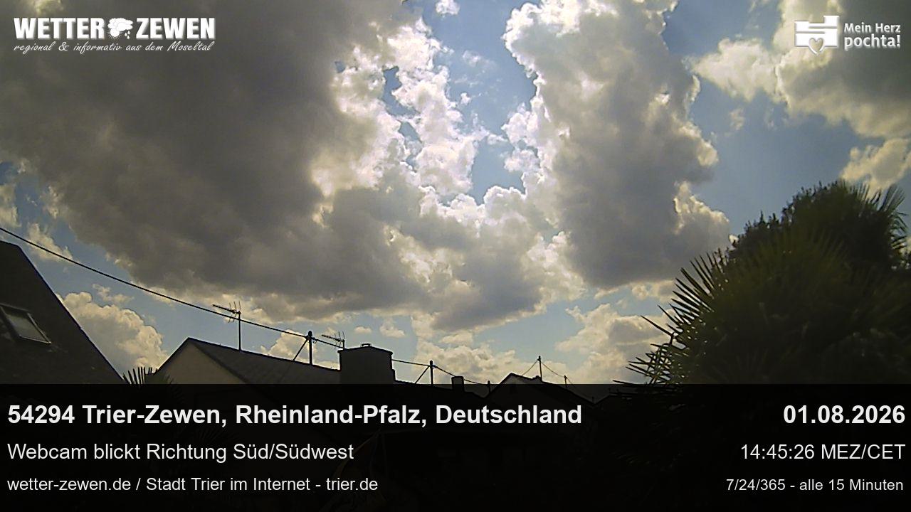 Bild