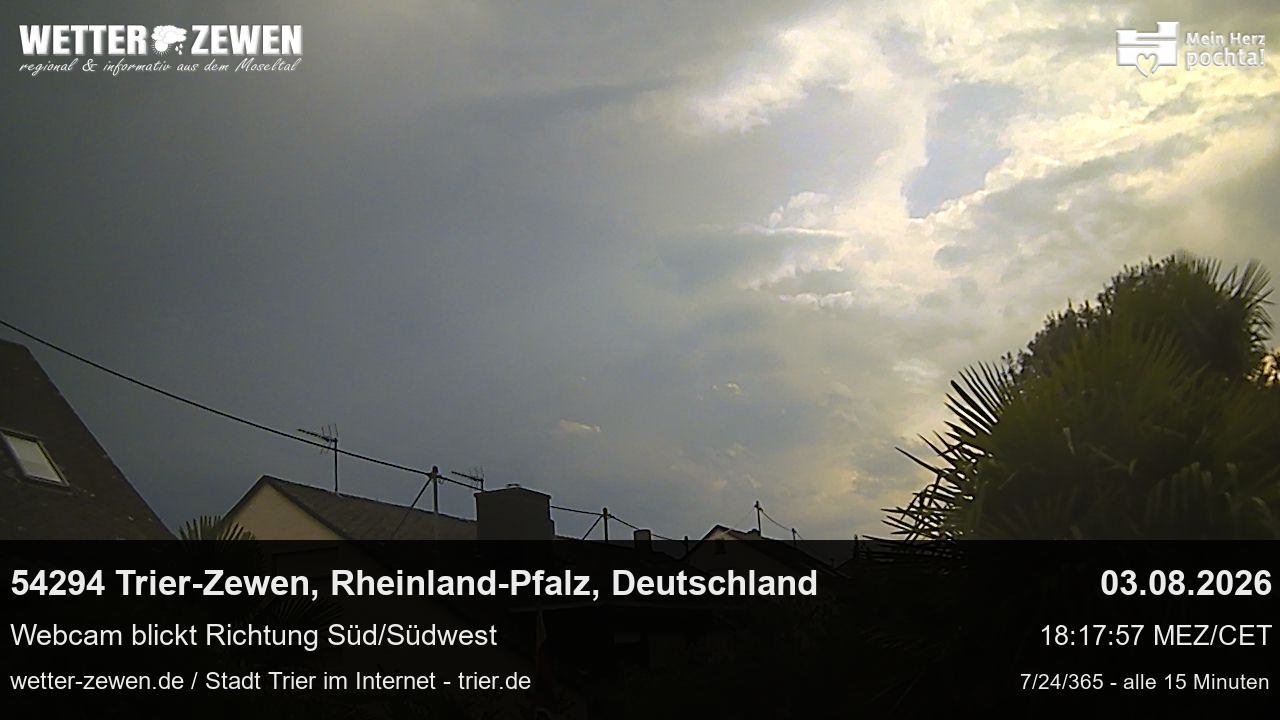 Bild