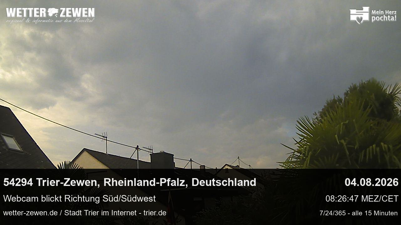 Bild