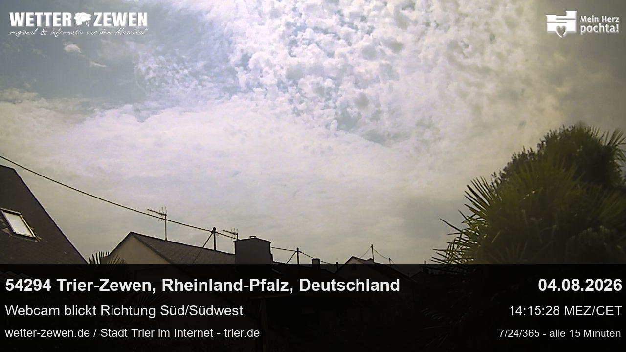 Bild