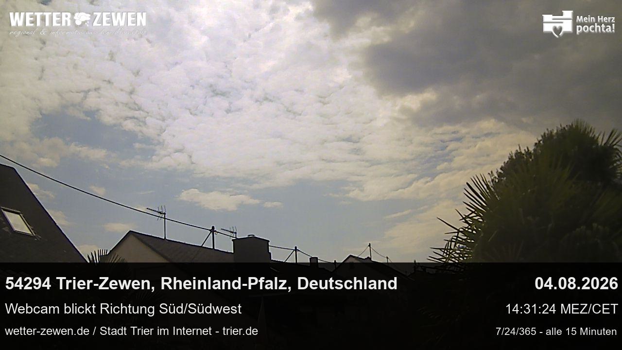 Bild