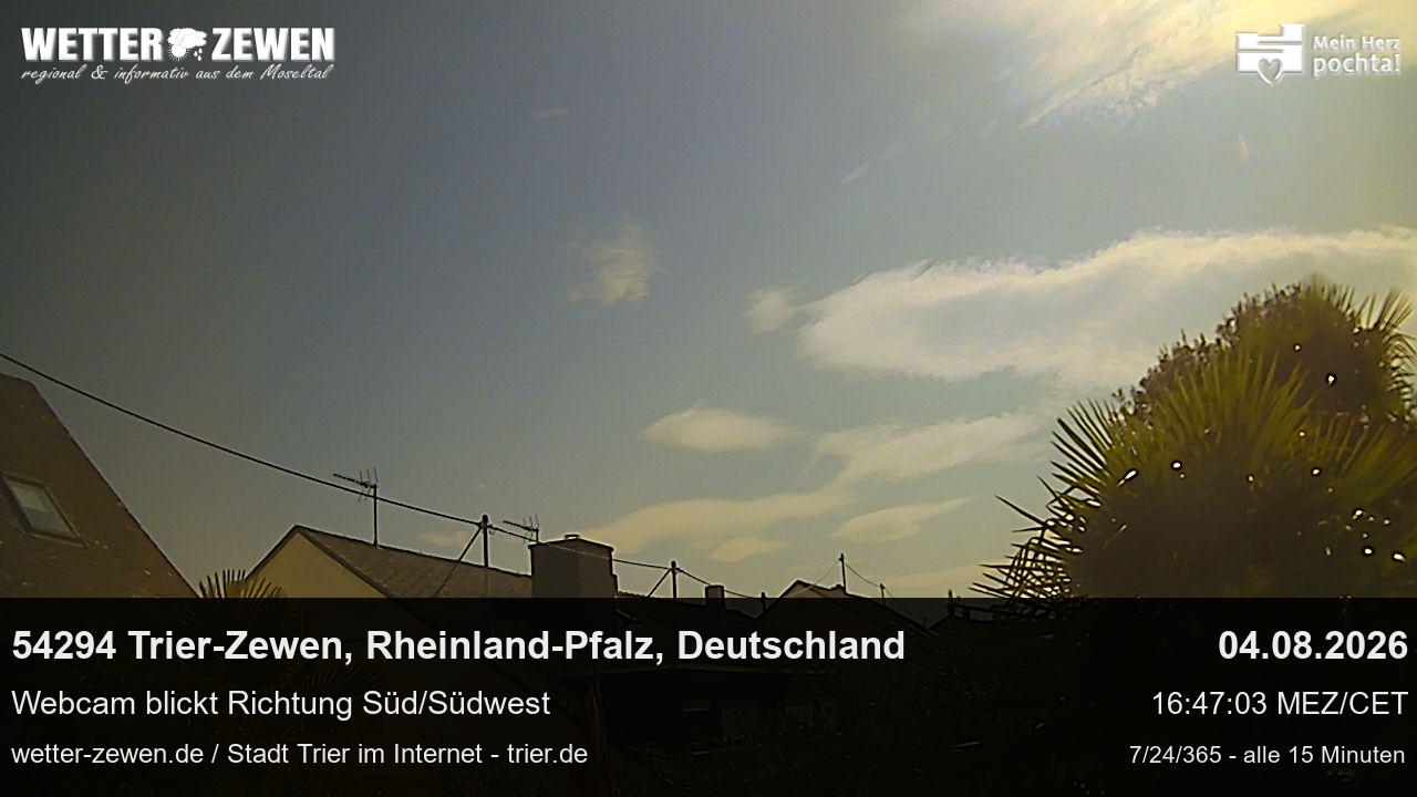 Bild