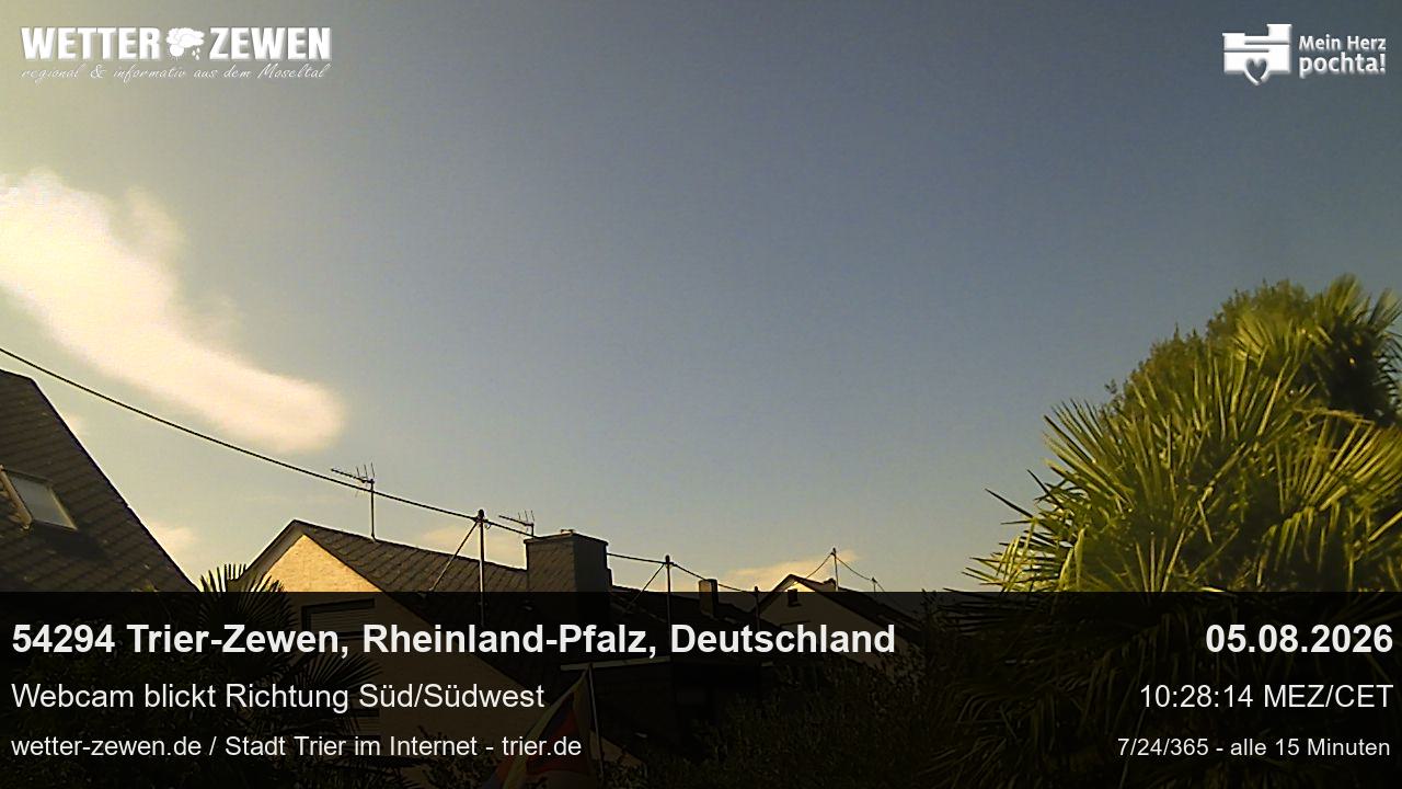 Bild