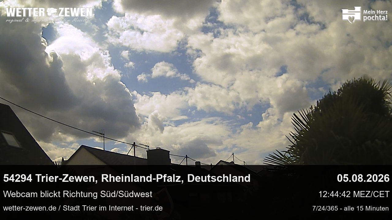 Bild