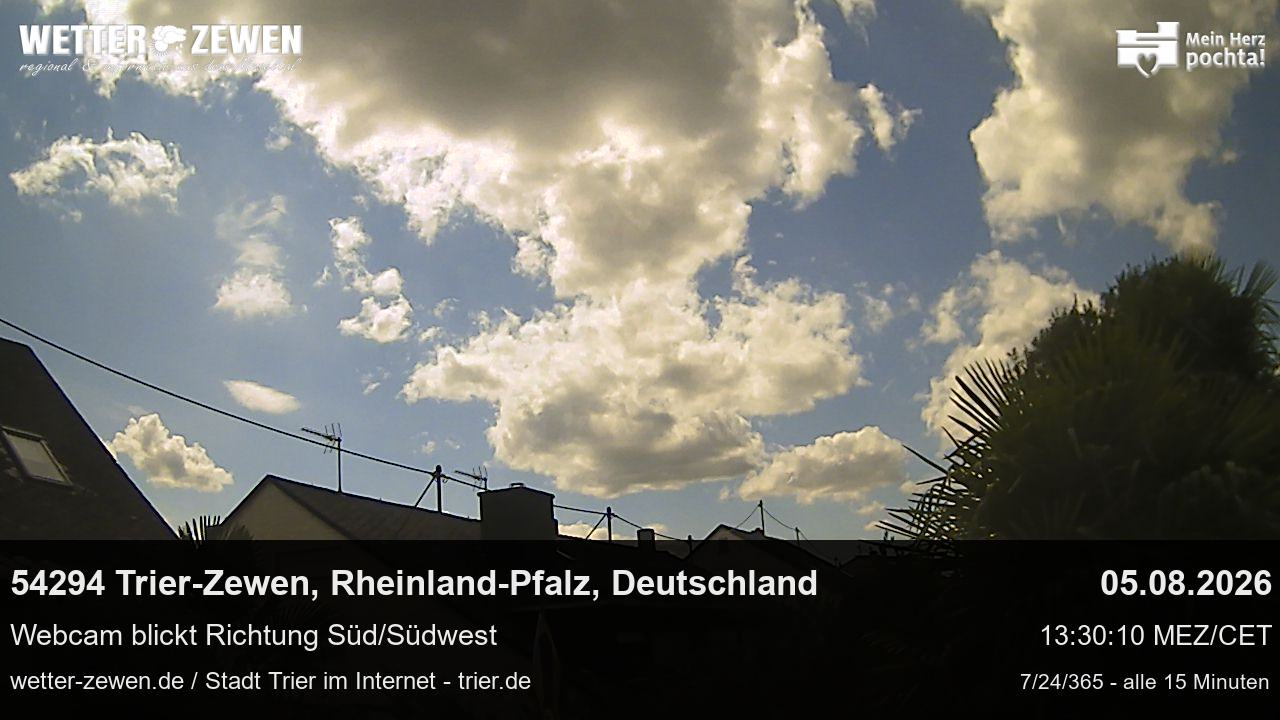 Bild