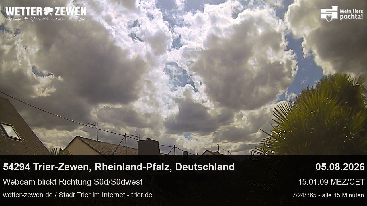 Bild