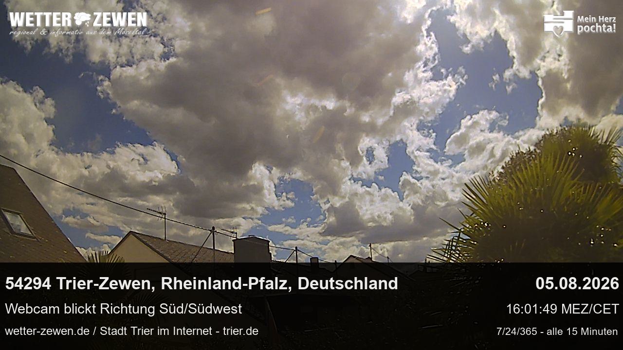 Bild