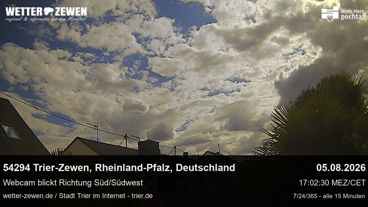 Bild