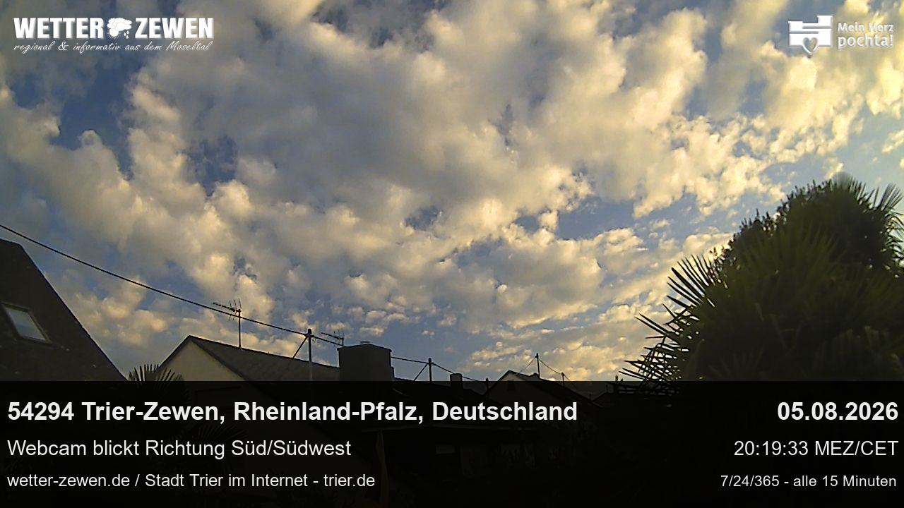 Bild