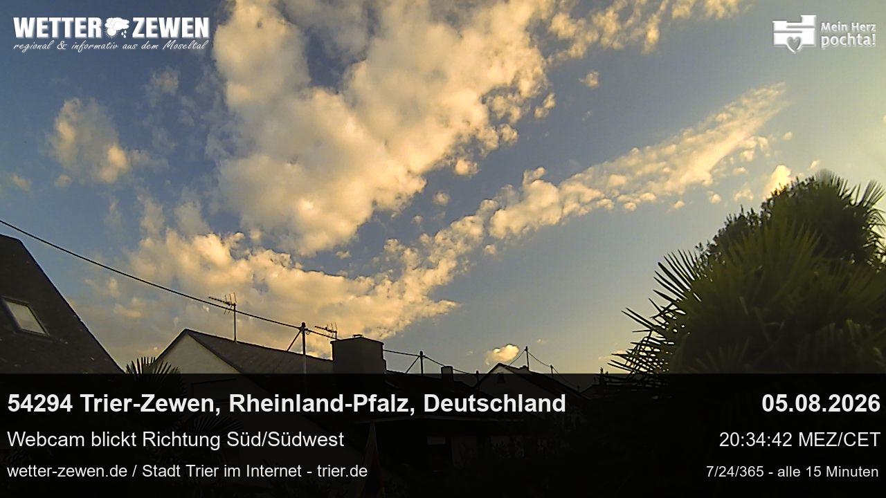 Bild