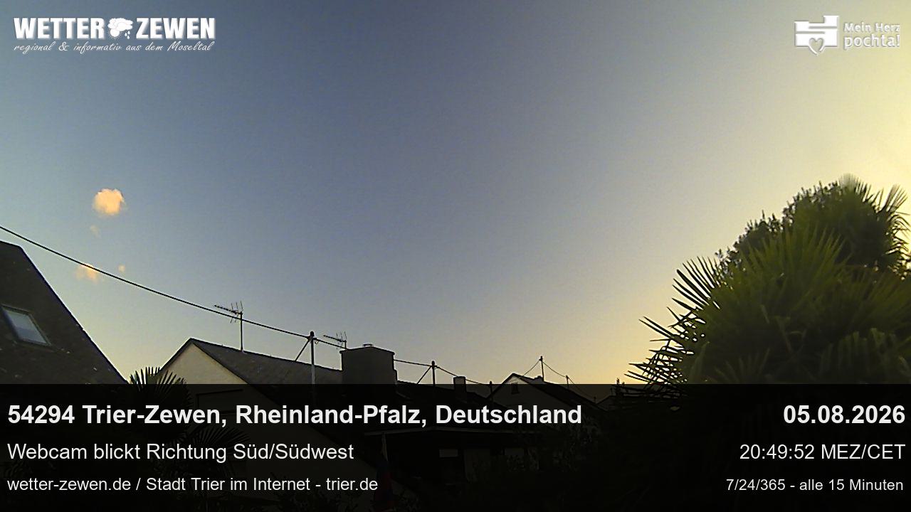 Bild