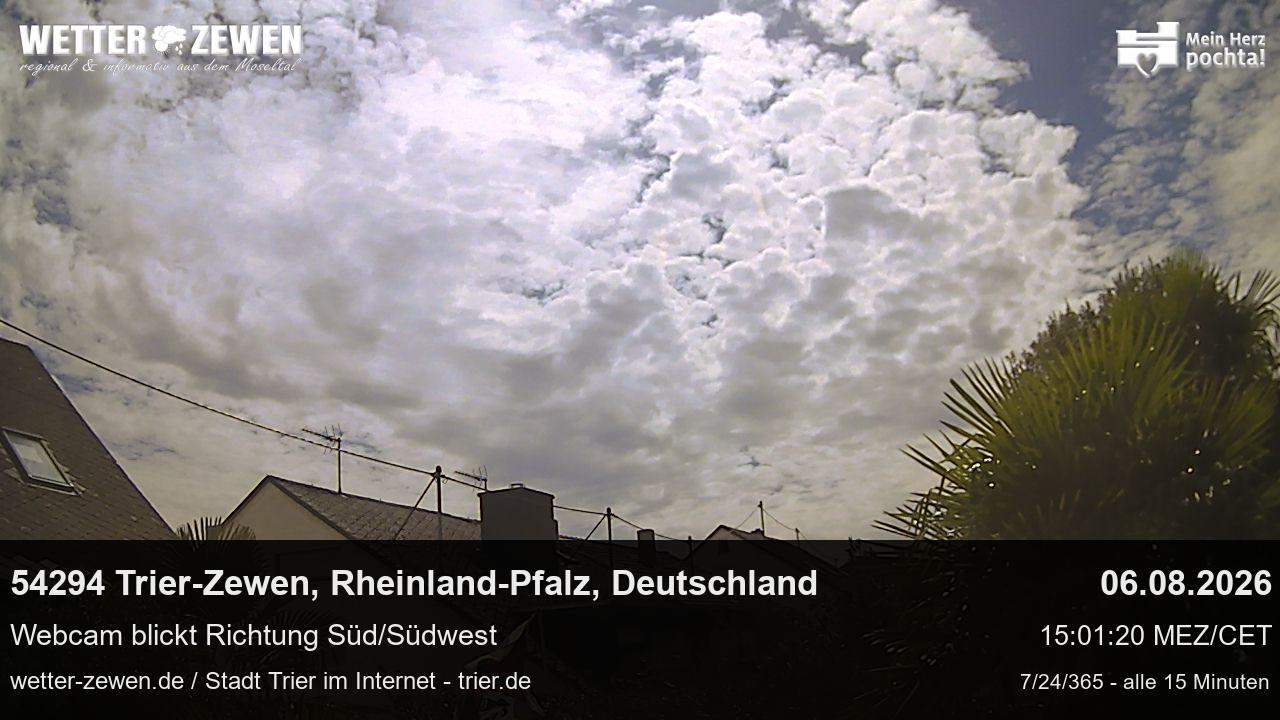 Bild