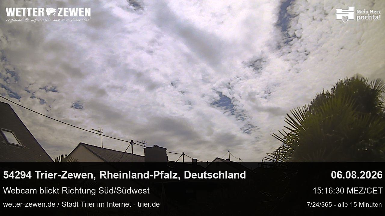 Bild