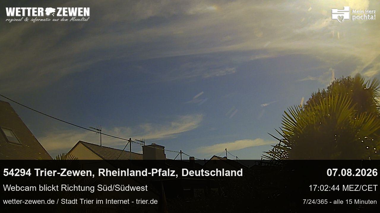 Bild