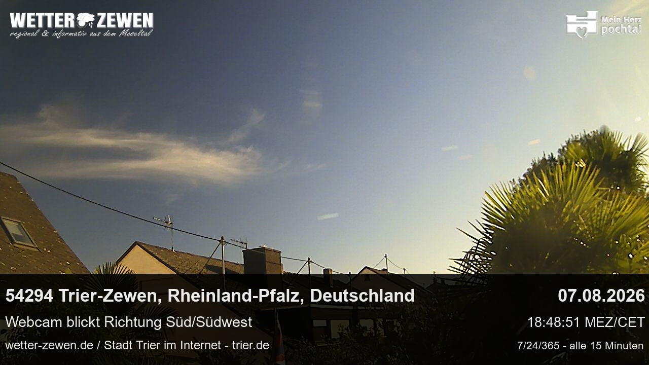 Bild