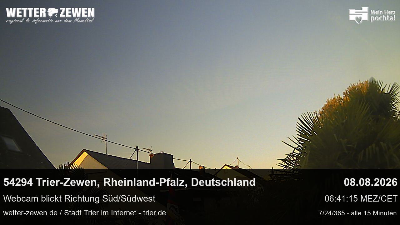 Bild