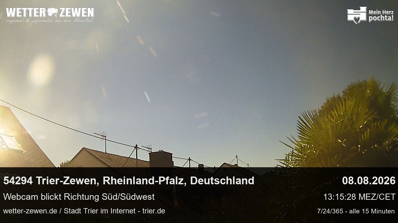 Bild