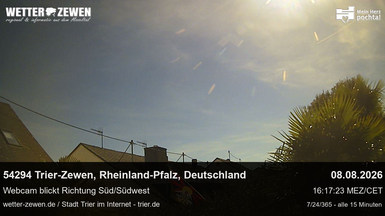 Bild