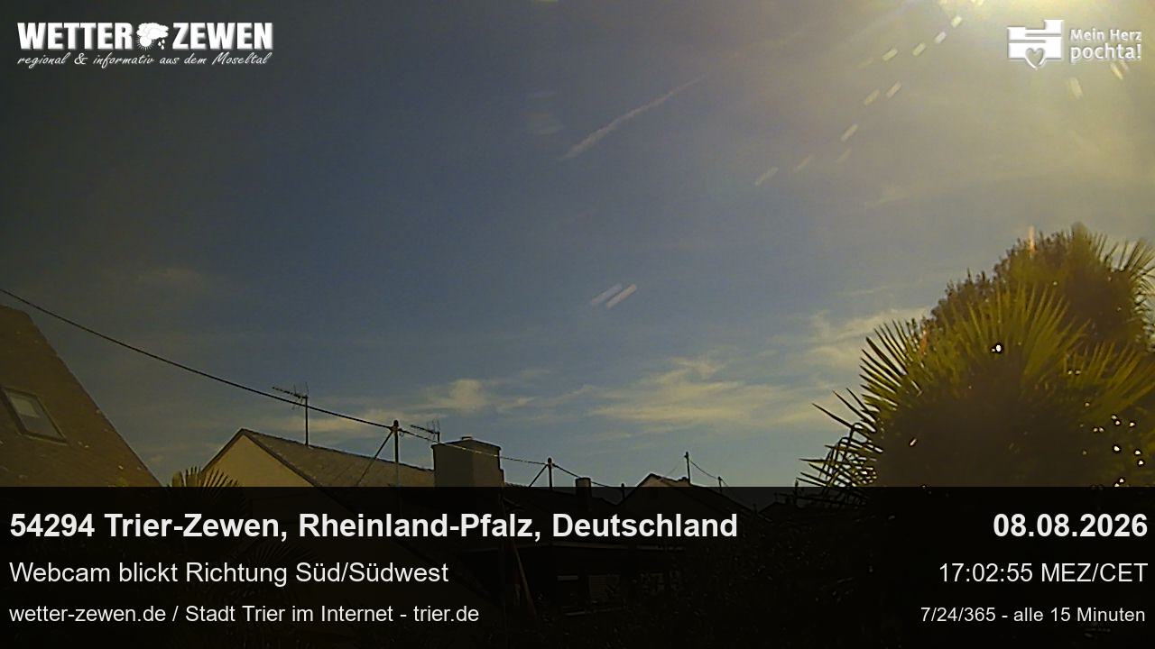 Bild