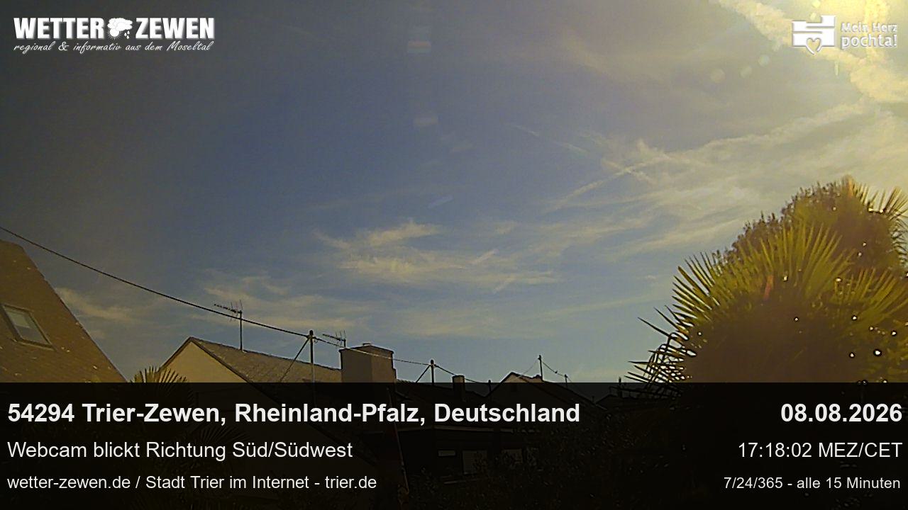 Bild