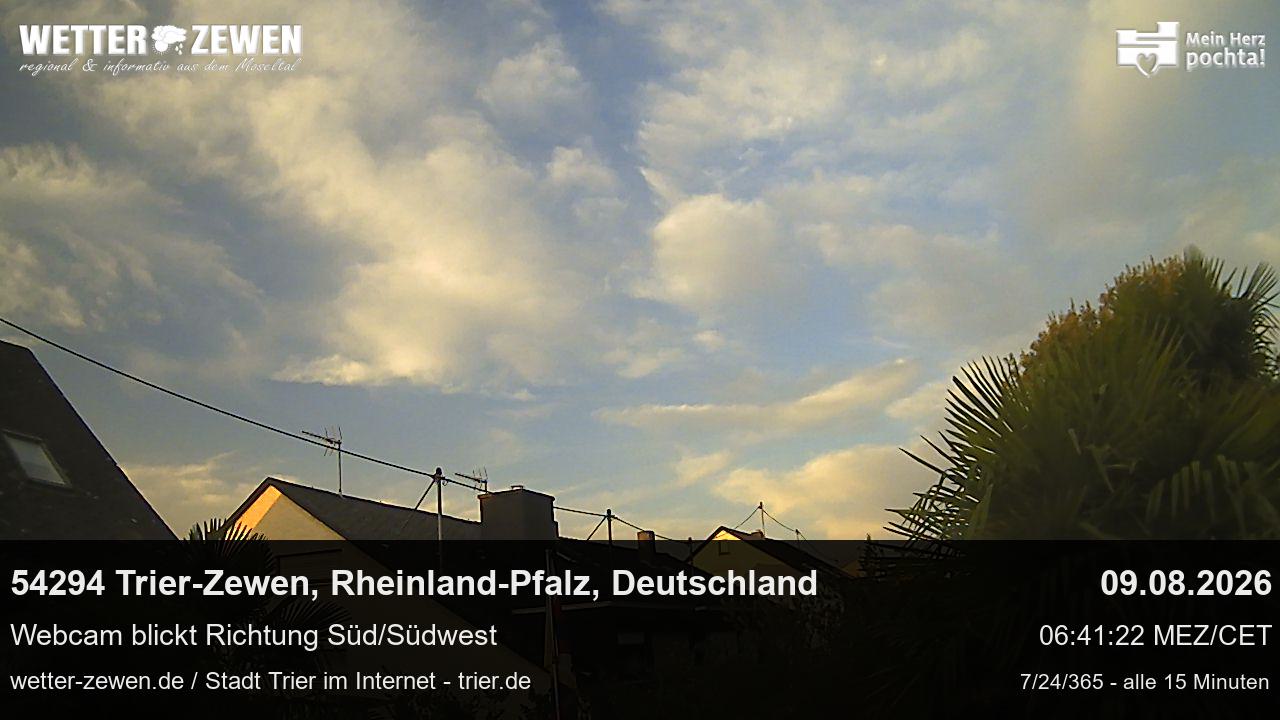 Bild