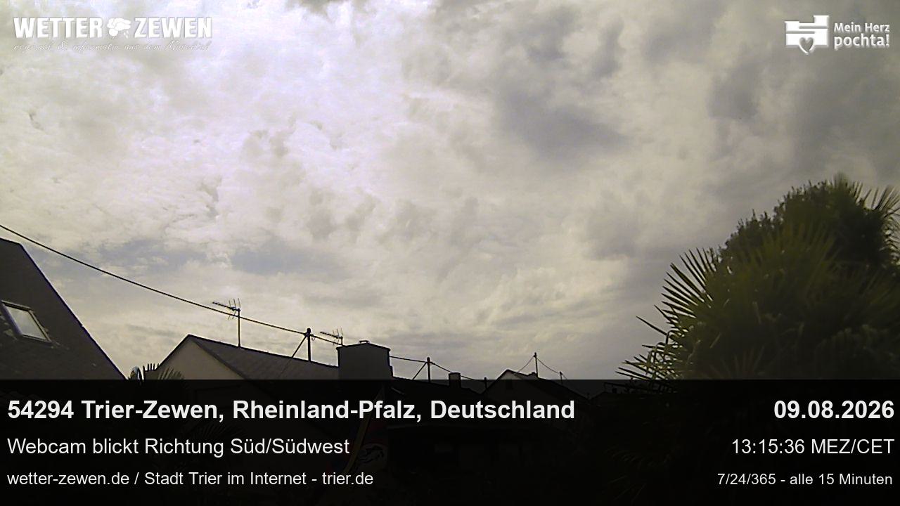 Bild