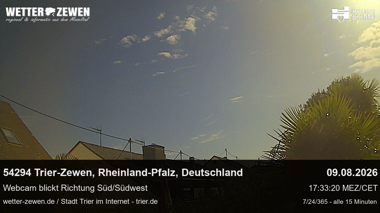 Bild