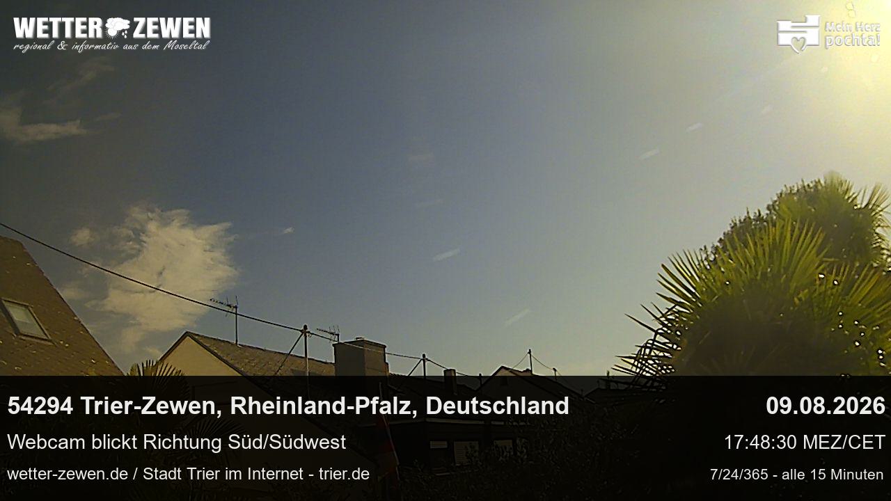 Bild
