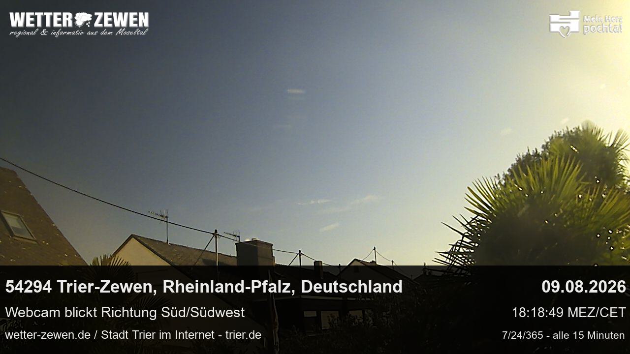 Bild