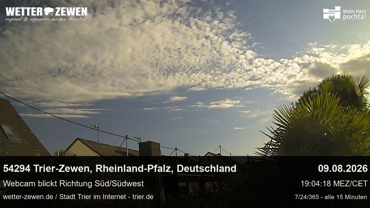 Bild