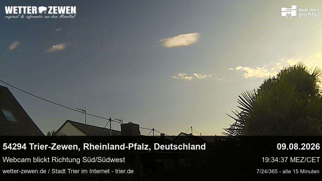 Bild