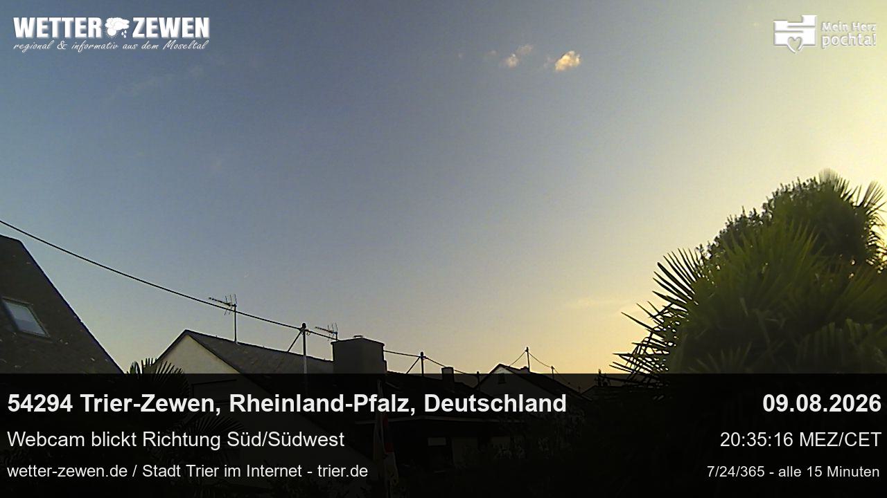 Bild